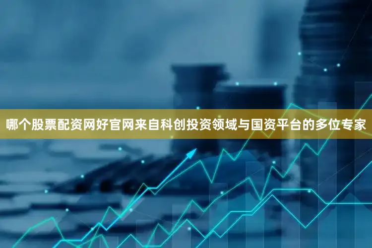 哪个股票配资网好官网来自科创投资领域与国资平台的多位专家