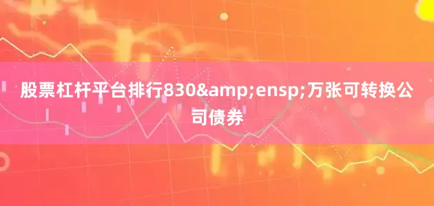 股票杠杆平台排行830 万张可转换公司债券