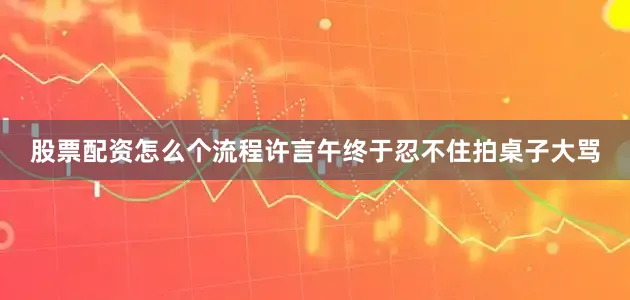 股票配资怎么个流程许言午终于忍不住拍桌子大骂