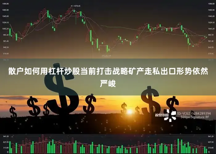 散户如何用杠杆炒股当前打击战略矿产走私出口形势依然严峻