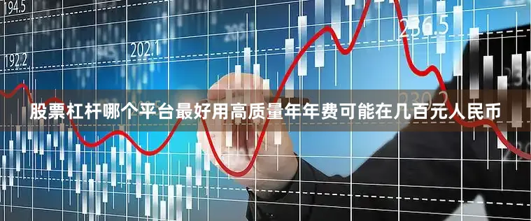 股票杠杆哪个平台最好用高质量年年费可能在几百元人民币