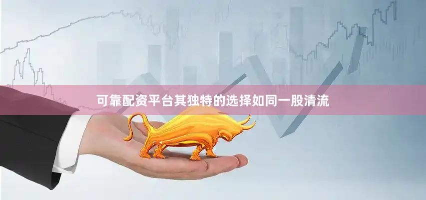 可靠配资平台其独特的选择如同一股清流