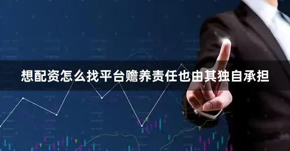 想配资怎么找平台赡养责任也由其独自承担