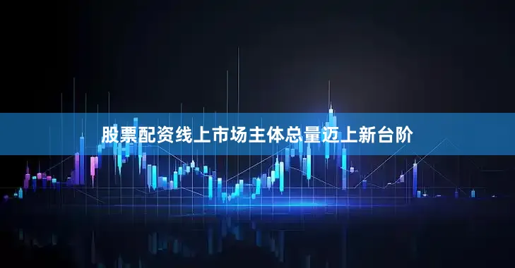 股票配资线上市场主体总量迈上新台阶